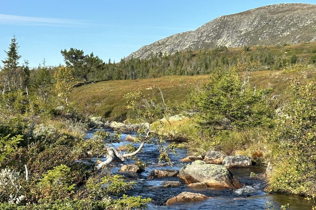 Årets dugnad nærmer seg