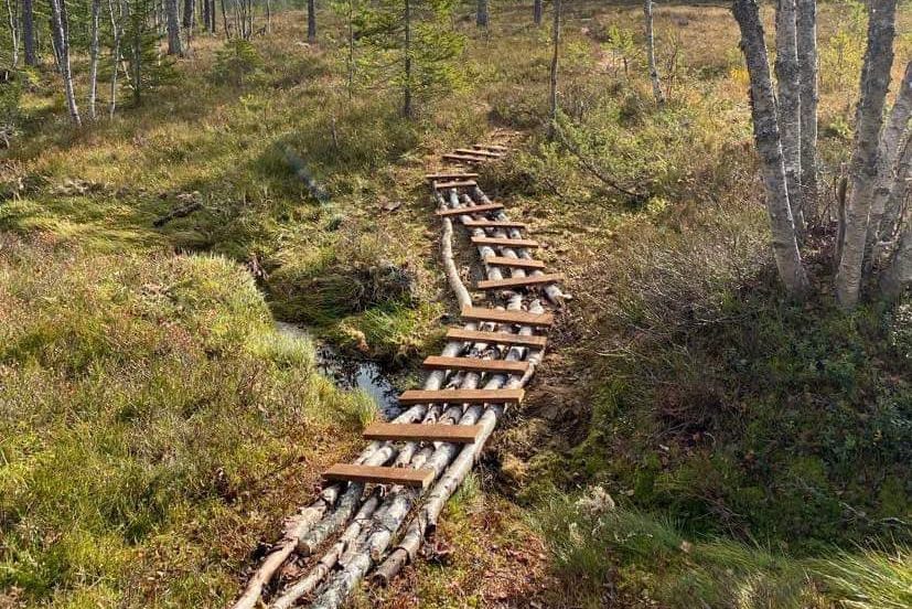 Takk for supert gjennomført dugnad