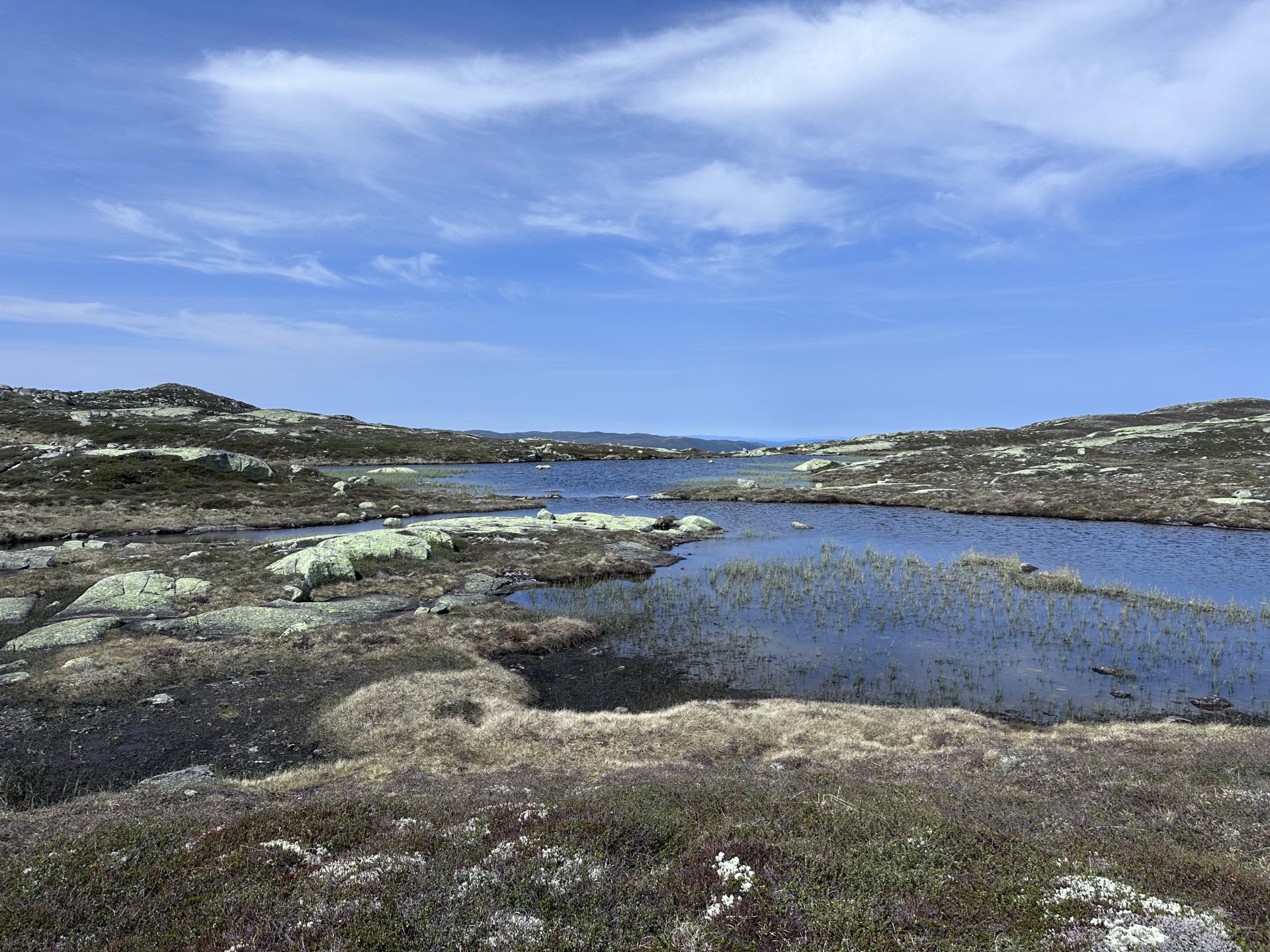 Turforslag: Sørbølseter – Nautskardfjellet – Fiskevatnhytta – Bogen – Fekjaløken