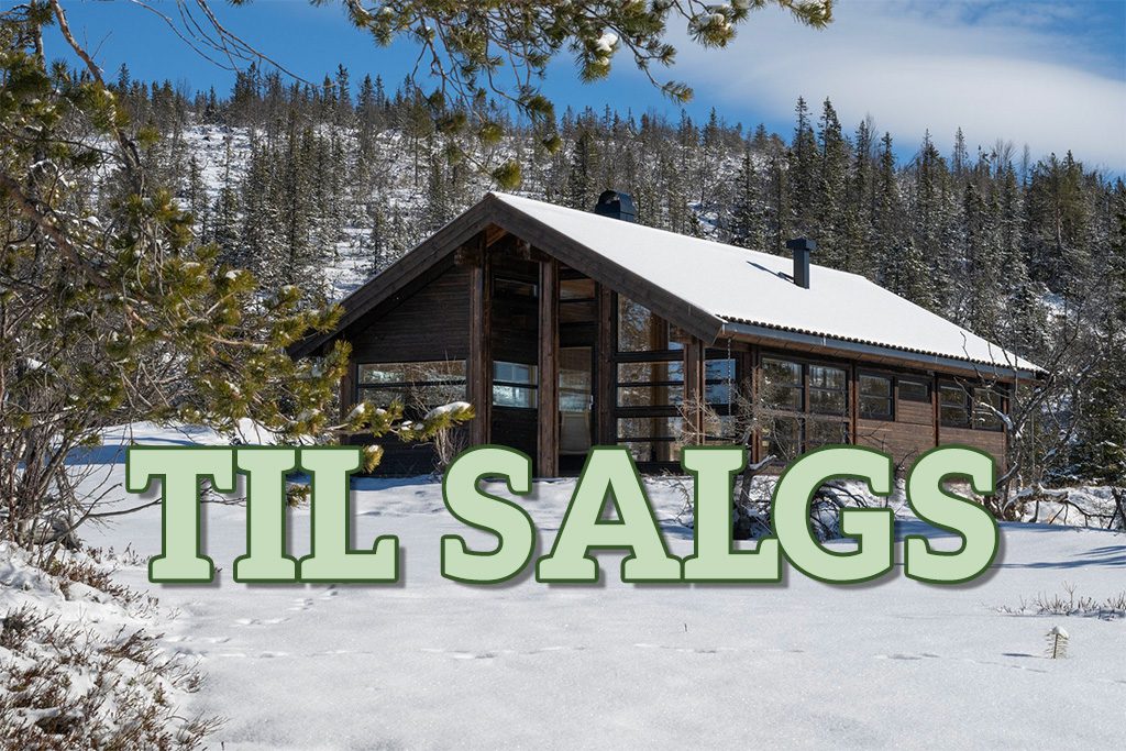 Skal du selge hytta?